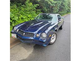 1979 Chevrolet Camaro Z28 (CC-1971475) for sale in Burnsville, Minnesota